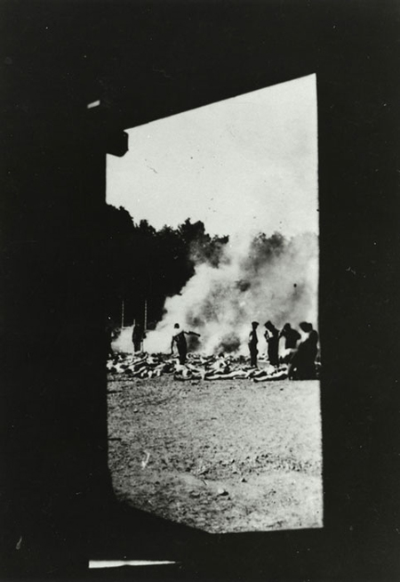 Photos d'une crémation en fosse après gazages à Aushwitz